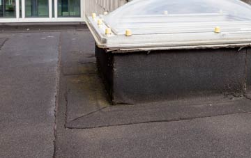 disadvantages of Ellary flat roofs