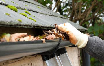 gutter cleaning Ellary, Argyll And Bute