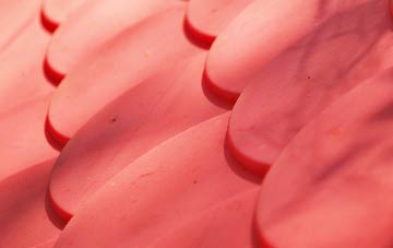 Ellary plastic roof costs