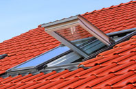 Ellary roof window